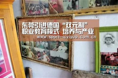奇异果体育官网